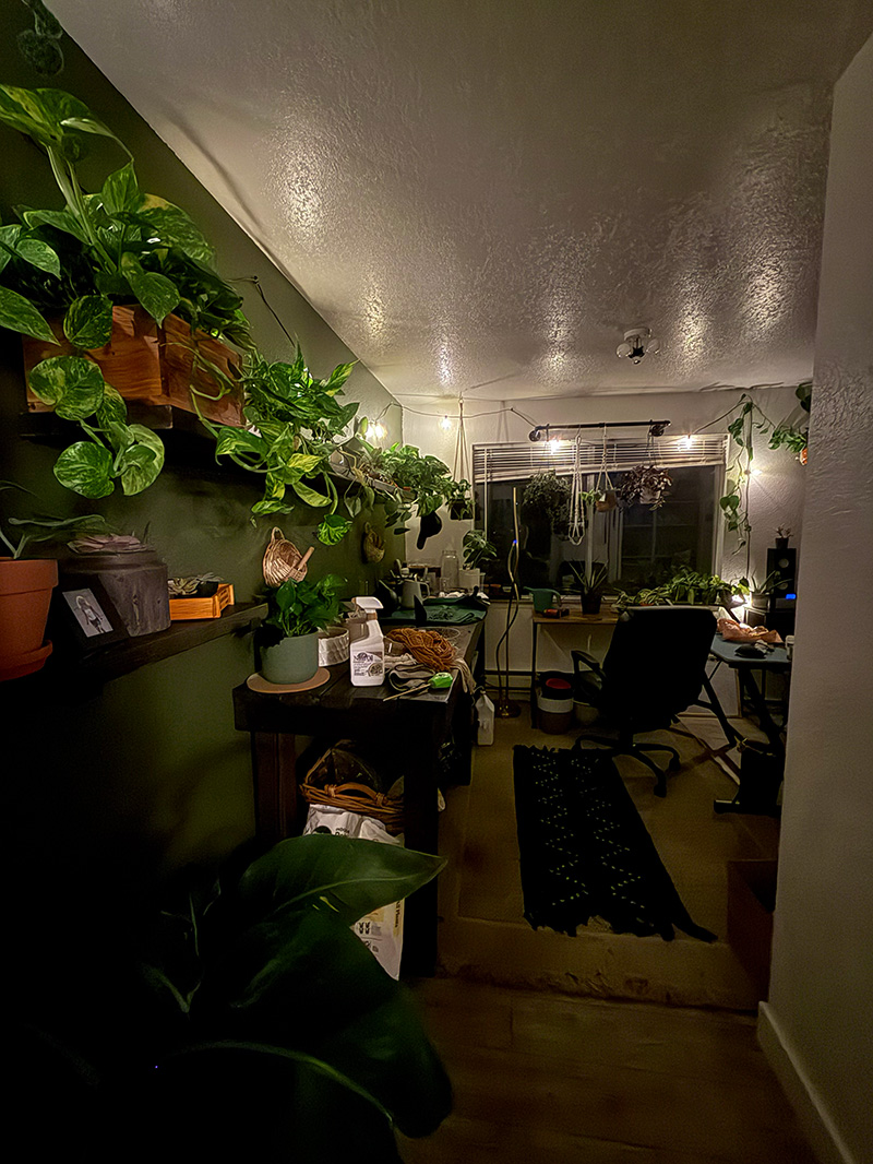 the plant room · peak bloom