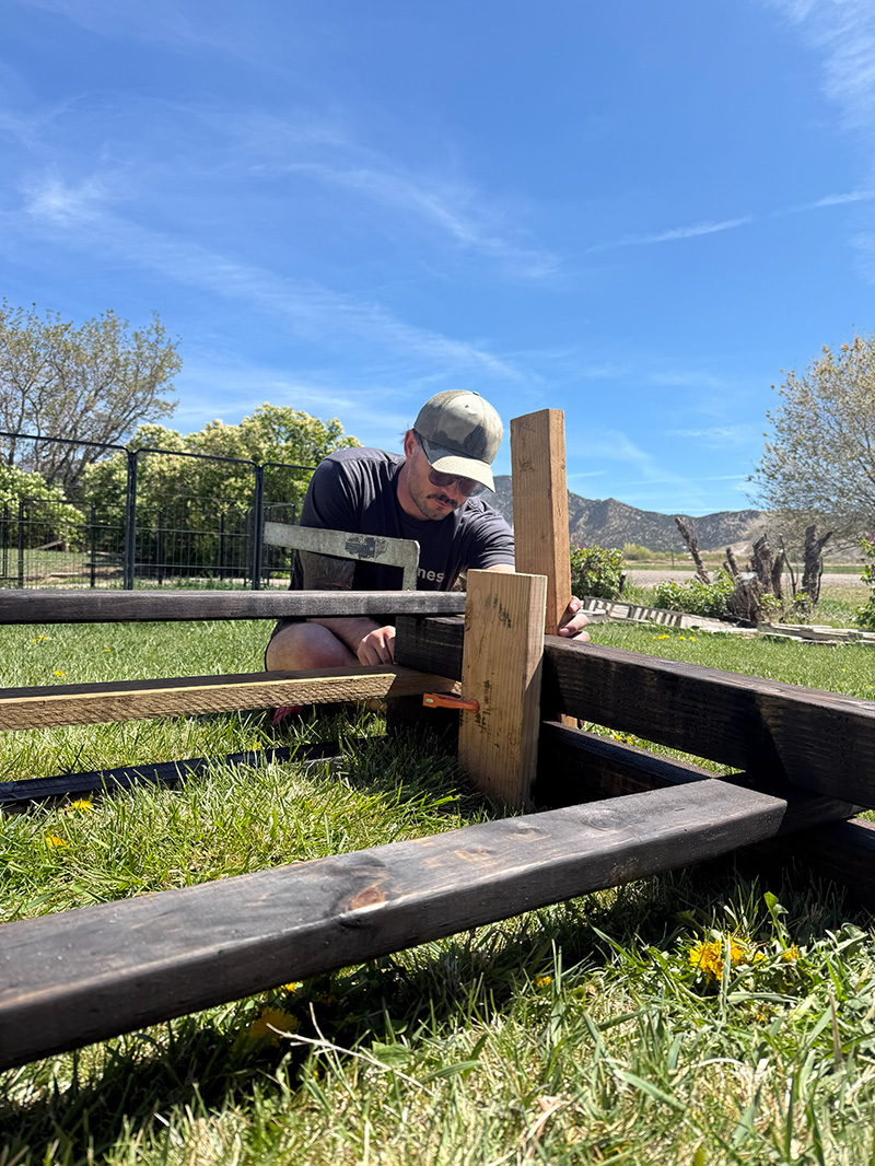 Cody · partner + enabler