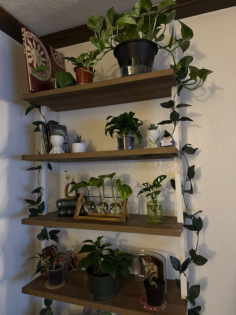 Trailing plant study