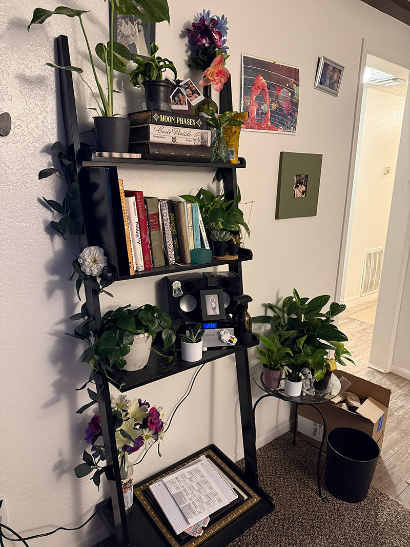 Another angle of the plant room